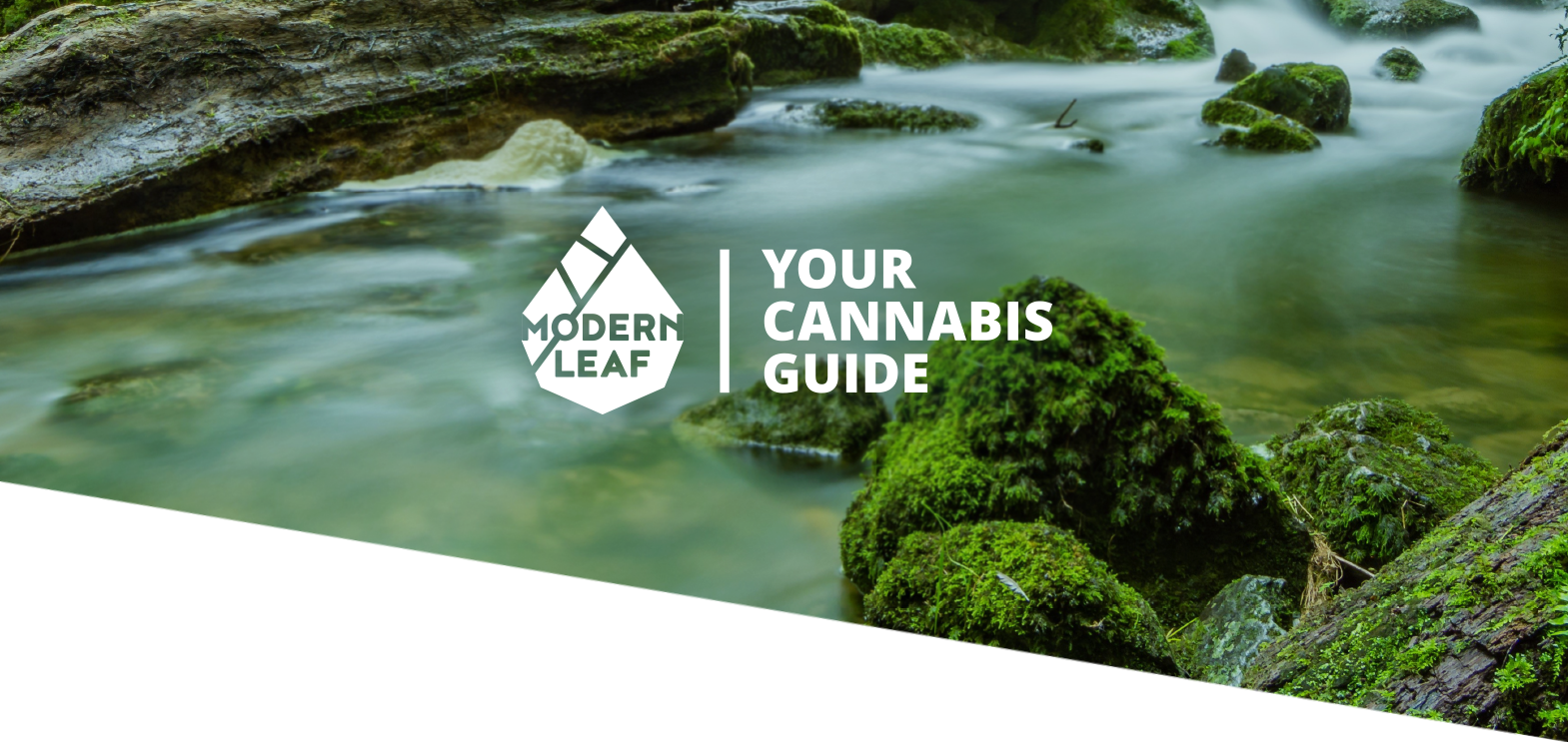 Modern Leaf
